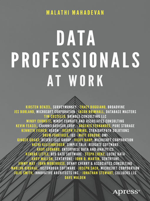 Title details for Data Professionals at Work by Malathi Mahadevan - Available